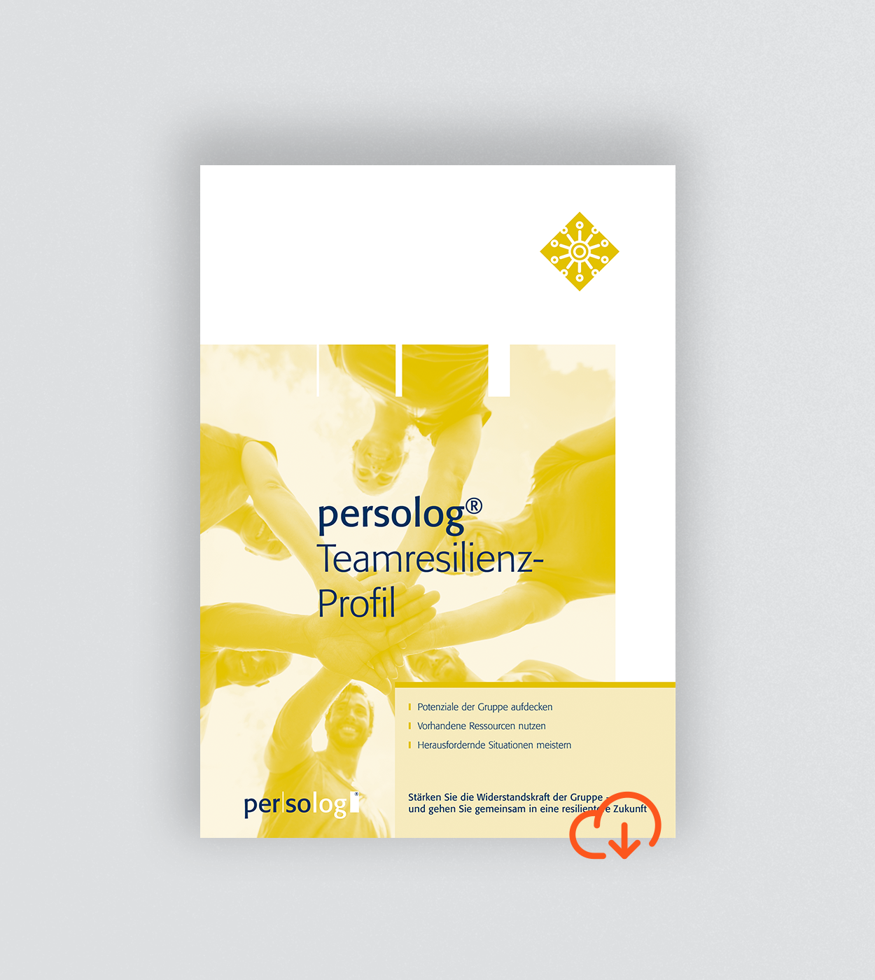 persolog® Team Resilience Profile 